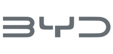 Logo Byd Bsd